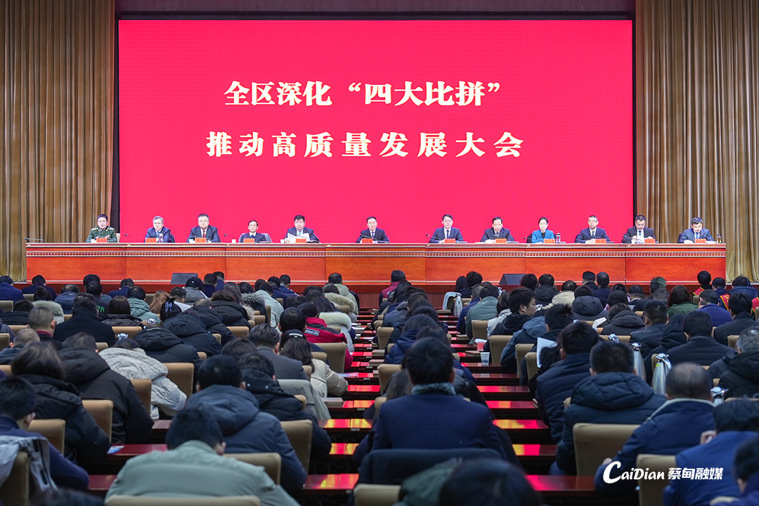 蔡甸高質(zhì)量發(fā)展大會.png